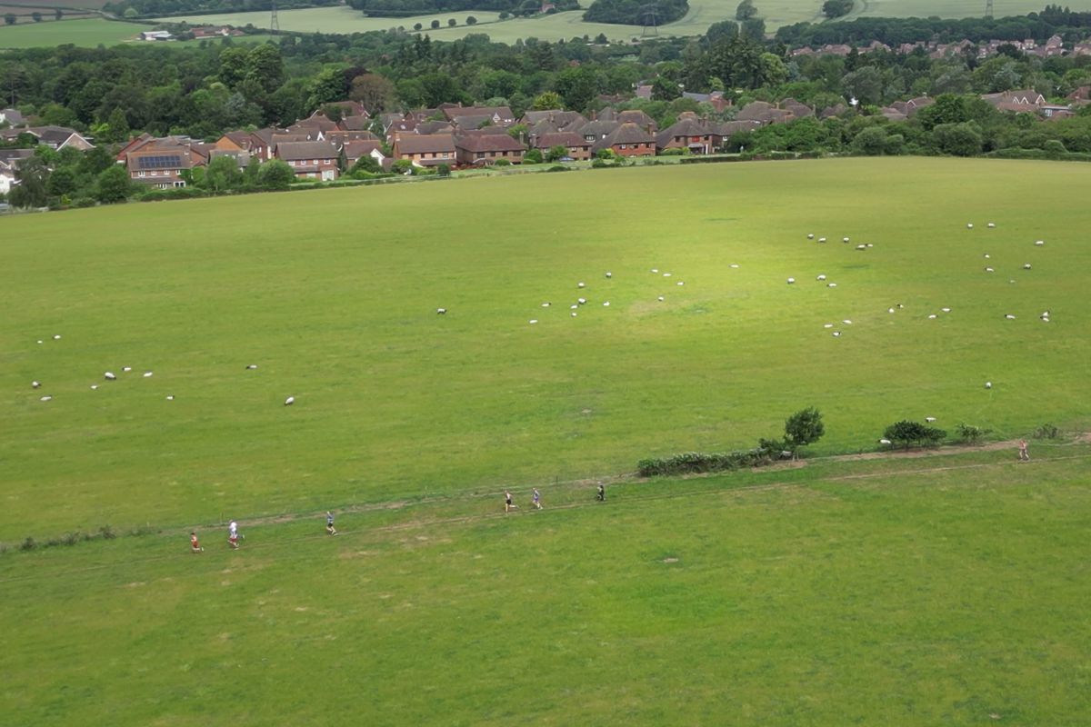 Runners strung out along a hedge, tiny figures in a wide green field