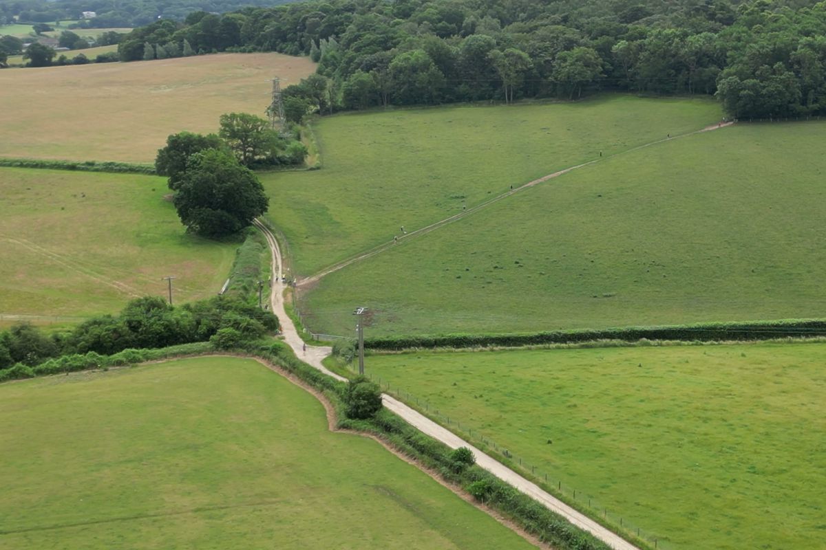 A pale track winding between hedges and a clump of trees, seen from the air