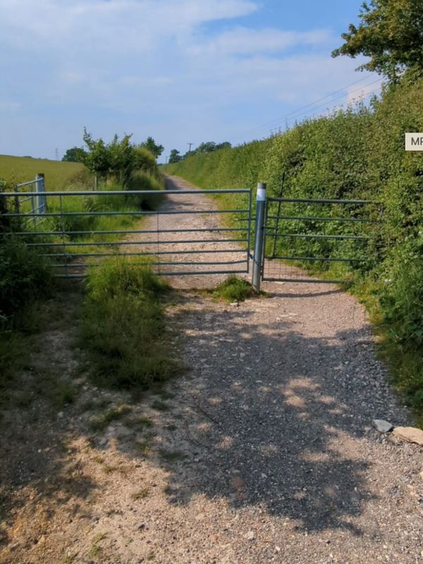 A gravel track climbing beside a hedge