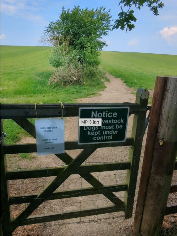 A wooden gate opening onto a grassy hill under a blue sky